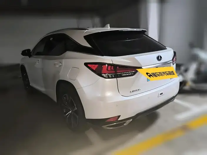 Lexus RX 2021 Model 300 4WD Special Edition – фото 4