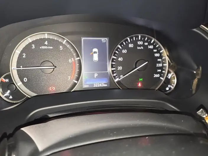 Lexus RX 2021 Model 300 4WD Special Edition – фото 6
