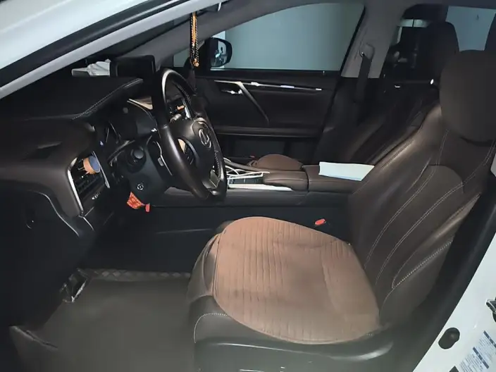 Lexus RX 2021 Model 300 4WD Special Edition – фото 10
