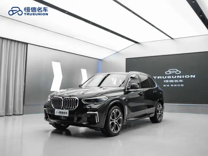 BMW X5 2022 Model Facelift xDrive 40Li Exclusive Model M Sports Set