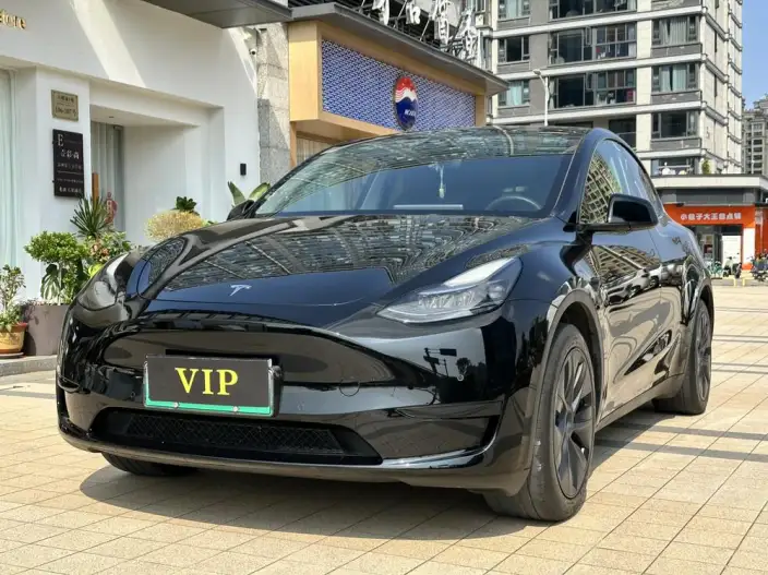 Model Y 2023 Model Rear-wheel drive version – фото 1