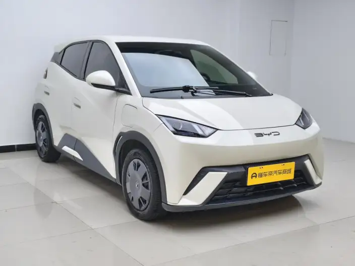 BYD Seagull 2023 Model Vitality Edition – фото 3