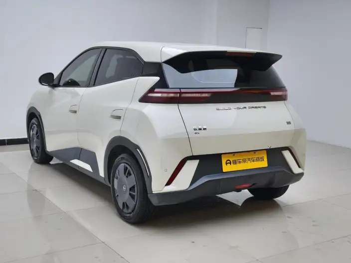 BYD Seagull 2023 Model Vitality Edition – фото 5