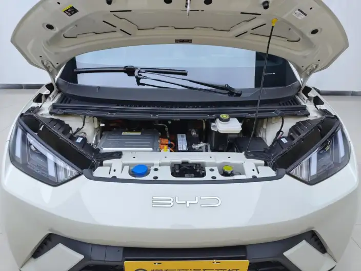 BYD Seagull 2023 Model Vitality Edition – фото 10