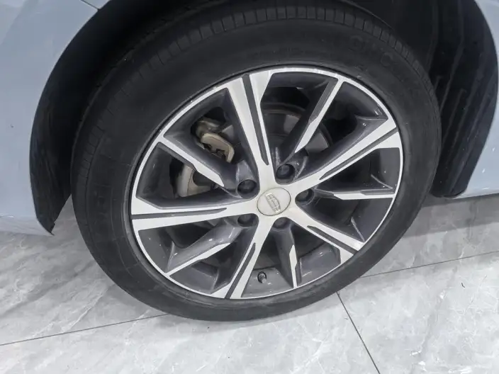Geely Emgrand 2023 Model No. 4 Gen Champion Edition 1.5L CVT Noble Model – фото 6