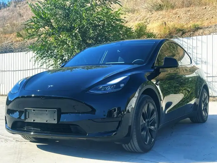 Model Y 2023 Model Rear-wheel drive version – фото 1