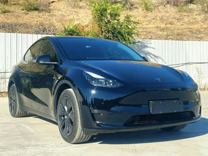 Model Y 2023 Model Rear-wheel drive version – фото 3