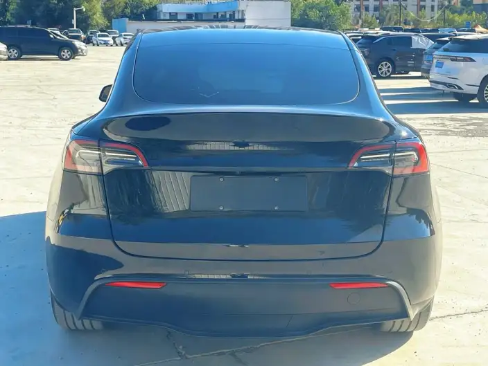 Model Y 2023 Model Rear-wheel drive version – фото 5