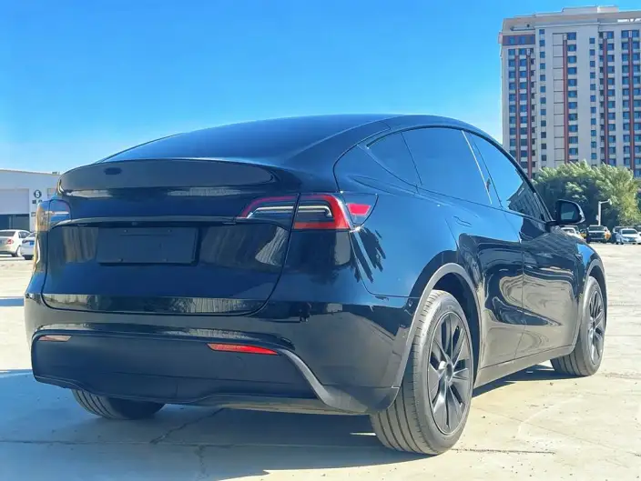 Model Y 2023 Model Rear-wheel drive version – фото 6