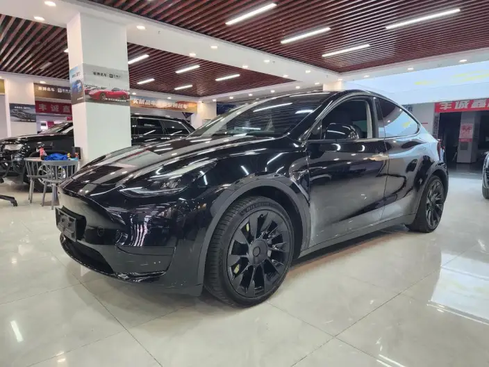 Model Y 2022 Model Rear-wheel drive version – фото 1