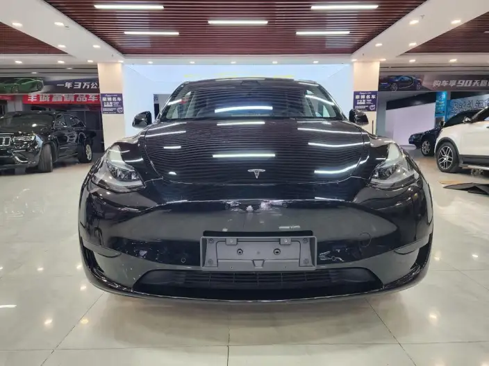 Model Y 2022 Model Rear-wheel drive version – фото 2