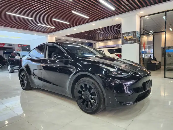 Model Y 2022 Model Rear-wheel drive version – фото 3