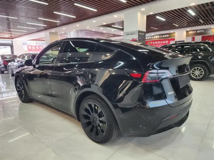 Model Y 2022 Model Rear-wheel drive version – фото 4