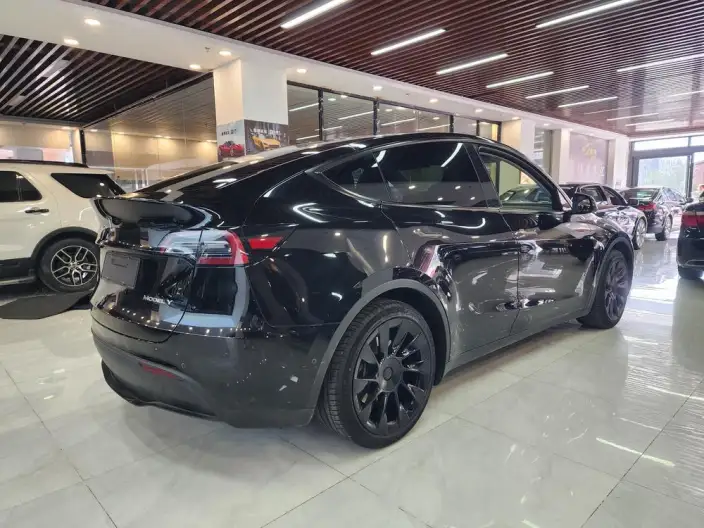 Model Y 2022 Model Rear-wheel drive version – фото 6
