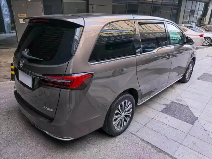 Buick GL8 2023 Model Business class 2.0T Comfort Model – фото 5