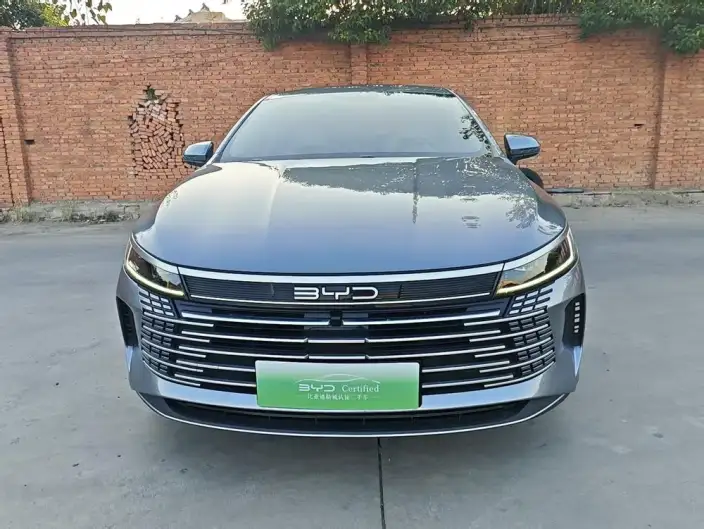BYD Destroyer 05 2023 Model DM-i Champion Edition 120KM Noble Model – фото 2