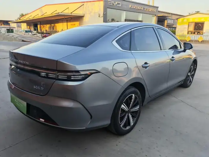 BYD Destroyer 05 2023 Model DM-i Champion Edition 120KM Noble Model – фото 6