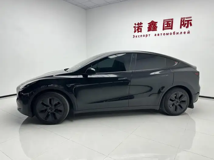 Model Y 2023 Model Rear-wheel drive version – фото 3