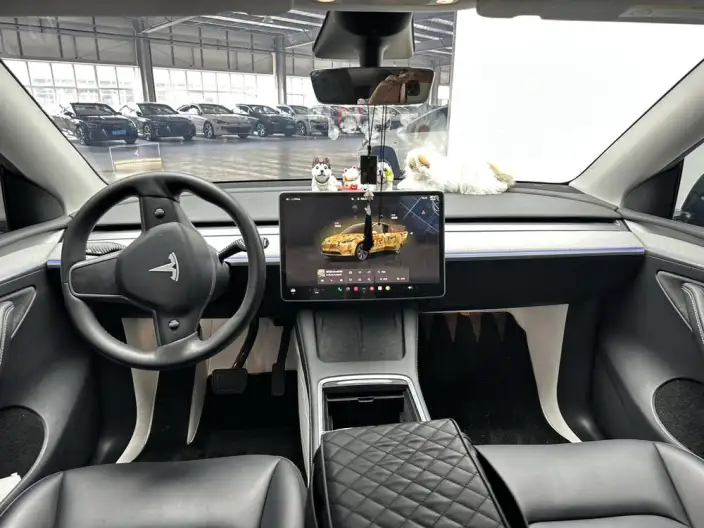 Model Y 2023 Model Rear-wheel drive version – фото 7
