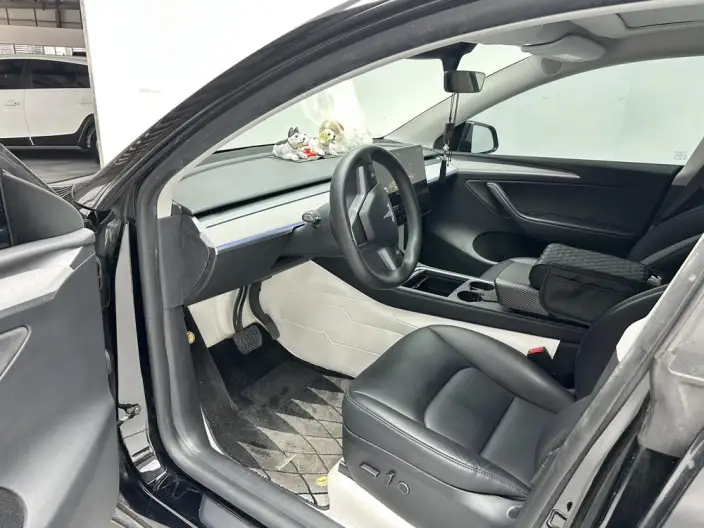 Model Y 2023 Model Rear-wheel drive version – фото 8