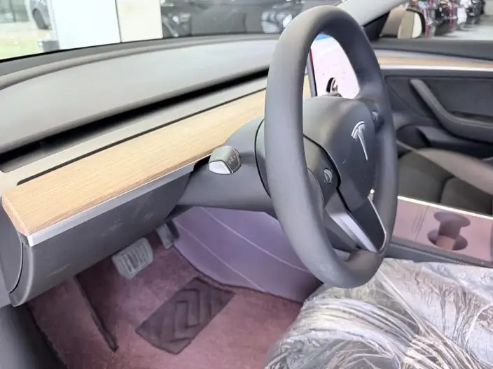 Model 3 2022 Model Rear-wheel drive version – фото 6