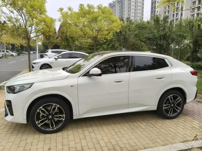 BMW X2 Imported 2024 Model sDrive25i M Sports Set – фото 3