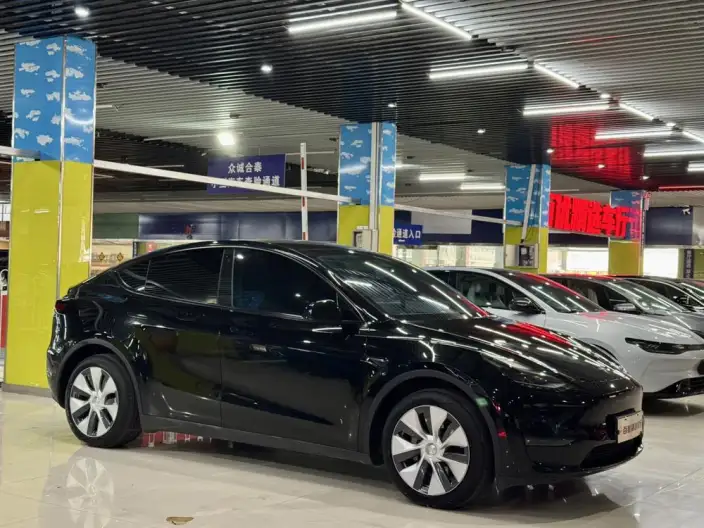 Model Y 2022 Model Facelift Long Battery Life Pro All-wheel drive version – фото 3
