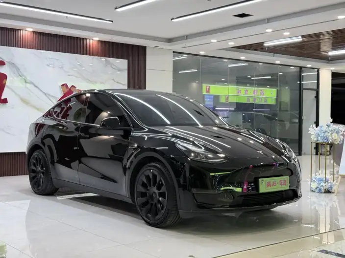 Model Y 2022 Model Facelift Long Battery Life Pro All-wheel drive version – фото 3
