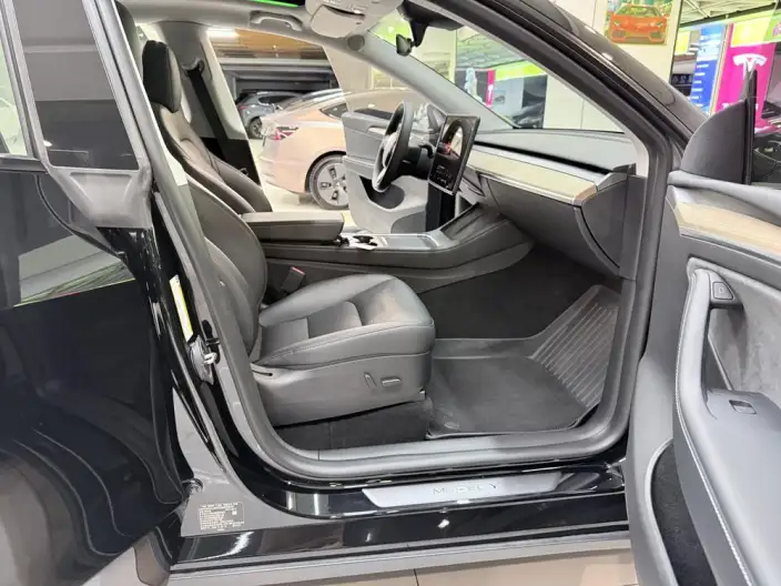 Model Y 2022 Model Facelift Long Battery Life Pro All-wheel drive version – фото 8