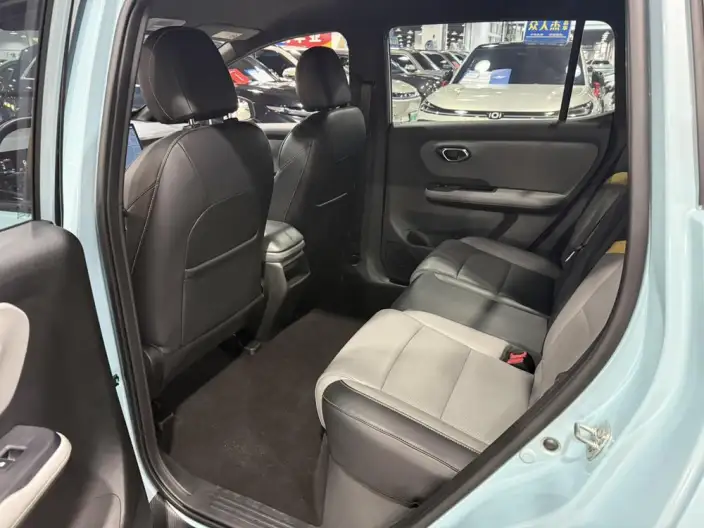 AION Y 2021 Model 60 Lexiang Edition – фото 9