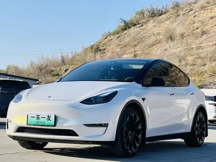 Model Y 2023 Model Long Battery Life Pro All-wheel drive version – фото 1