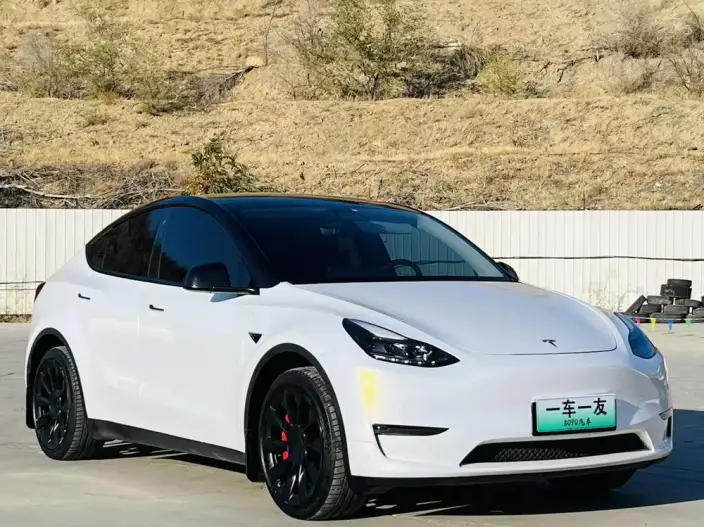Model Y 2023 Model Long Battery Life Pro All-wheel drive version – фото 3
