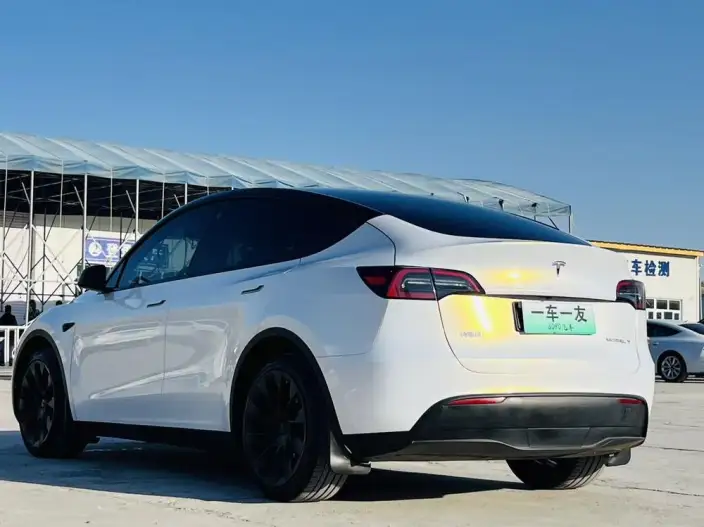 Model Y 2023 Model Long Battery Life Pro All-wheel drive version – фото 4