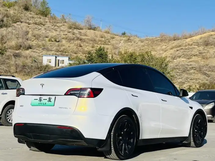 Model Y 2023 Model Long Battery Life Pro All-wheel drive version – фото 6