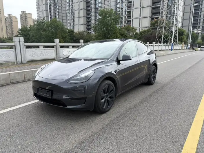 Model Y 2024 Model Rear-wheel drive version – фото 1