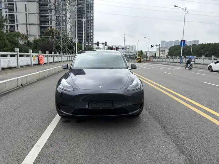 Model Y 2024 Model Rear-wheel drive version – фото 2