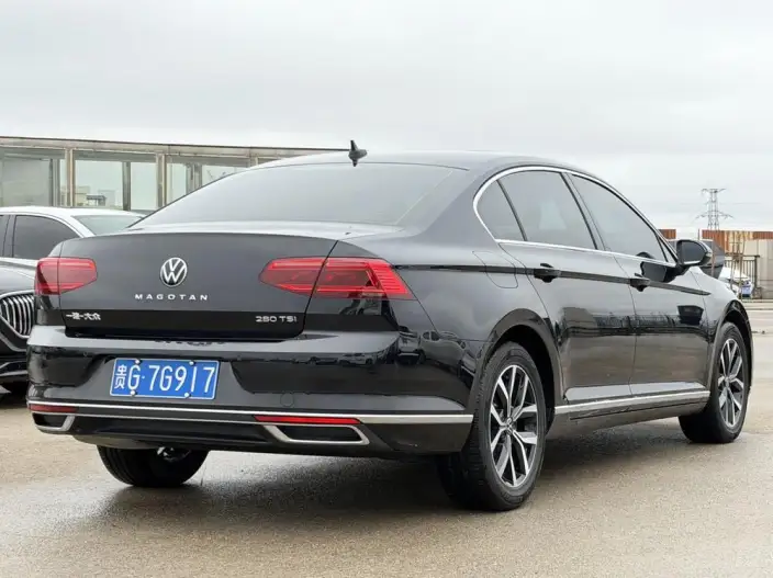 Volkswagen Magotan 2020 Model 280TSI DSG Leading Model – фото 6