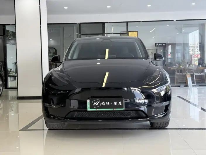 Model Y 2023 Model Long Battery Life Pro All-wheel drive version – фото 2