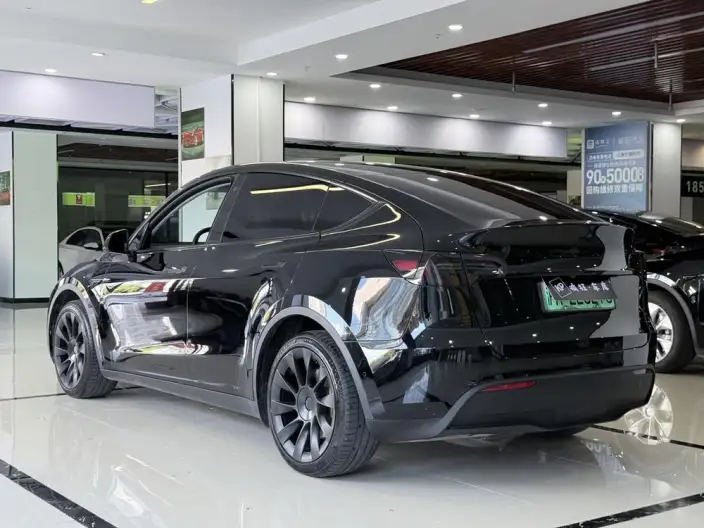 Model Y 2023 Model Long Battery Life Pro All-wheel drive version – фото 4