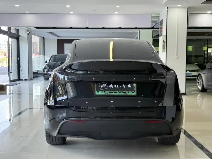 Model Y 2023 Model Long Battery Life Pro All-wheel drive version – фото 5