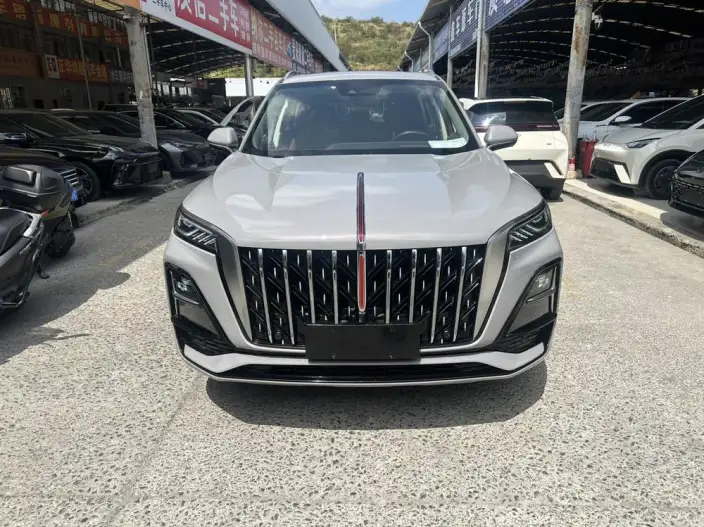 Hongqi HS5 2023 Model 2.0T Flag Xiang Pro Edition – фото 2