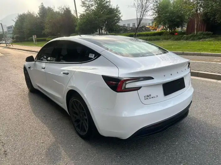 Model 3 2023 Model Rear-wheel drive version – фото 4