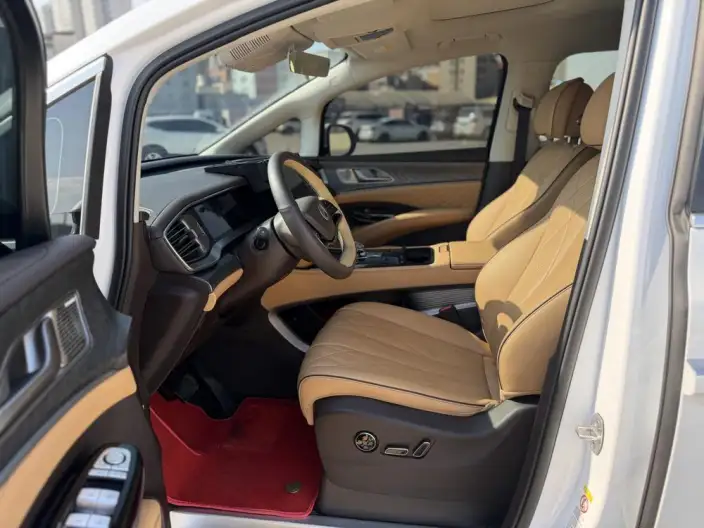 DENZA D9 DM 2024 Model 980 4WD Noble Model – фото 8