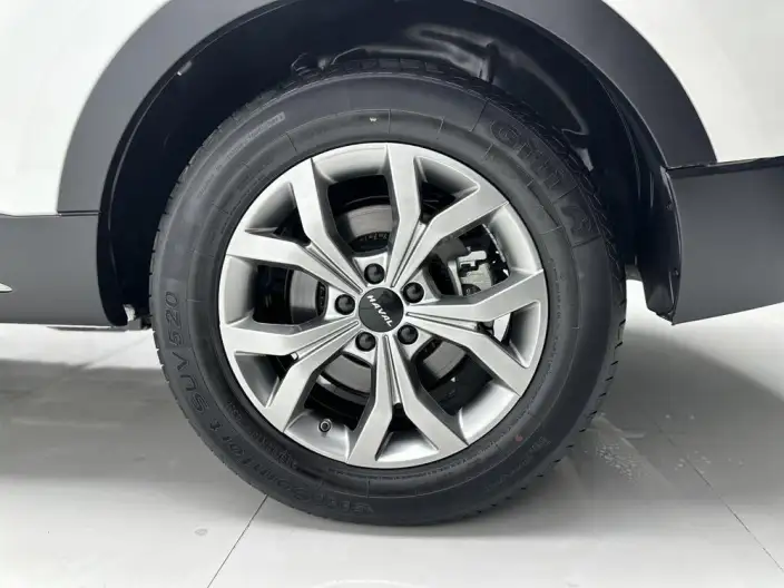 Haval H6 2021 Model Guo Trendy Edition 1.5T Automatic Champion Edition – фото 7