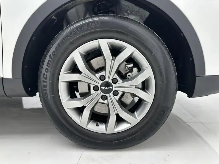 Haval H6 2021 Model Guo Trendy Edition 1.5T Automatic Champion Edition – фото 9