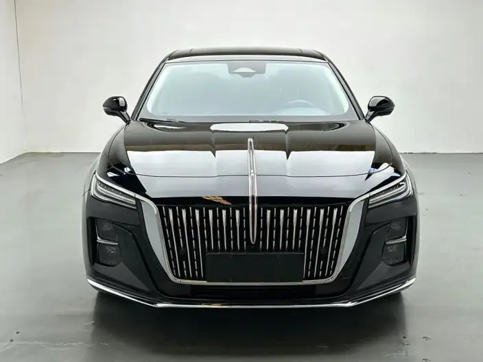 Hongqi H5 2023 Model 2.0T Automatic Flag Enjoy Edition – фото 2
