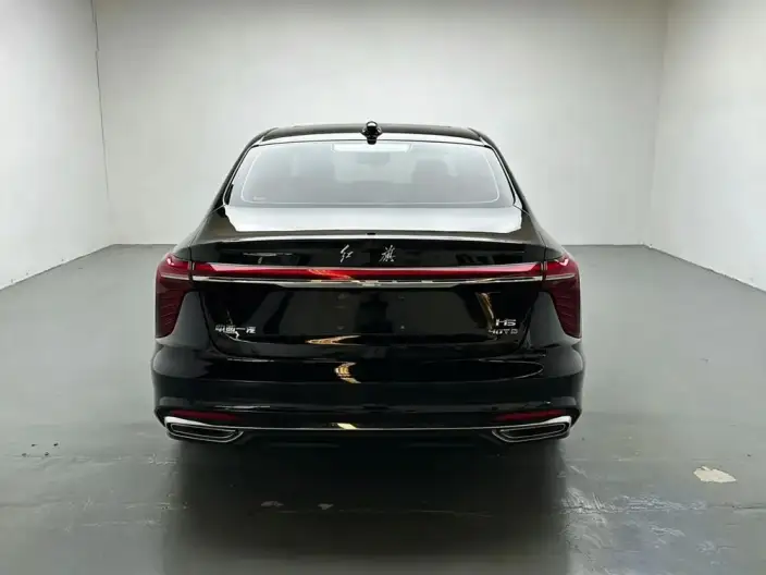 Hongqi H5 2023 Model 2.0T Automatic Flag Enjoy Edition – фото 5