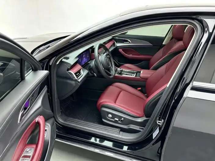 Hongqi H5 2023 Model 2.0T Automatic Flag Enjoy Edition – фото 8