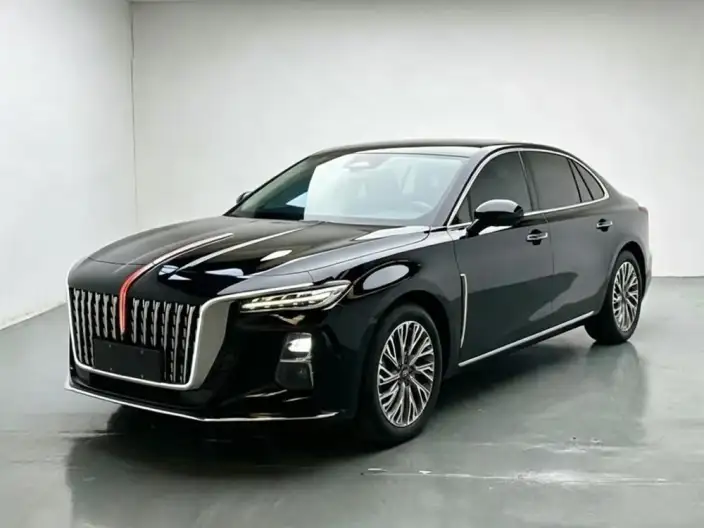 Hongqi H5 2023 Model 2.0T Automatic Flag Enjoy Edition – фото 10