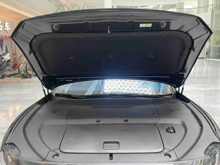 Stelato S9 2024 Model EV 4WD Ultra – фото 6